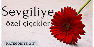 sevgiliye-cicek